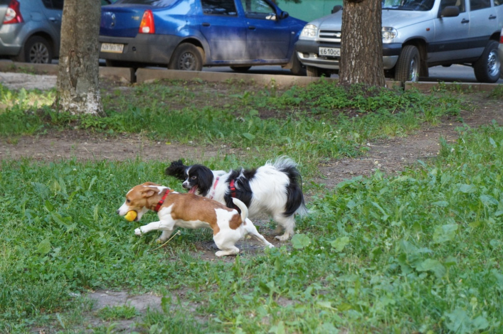 DSC02282.JPG