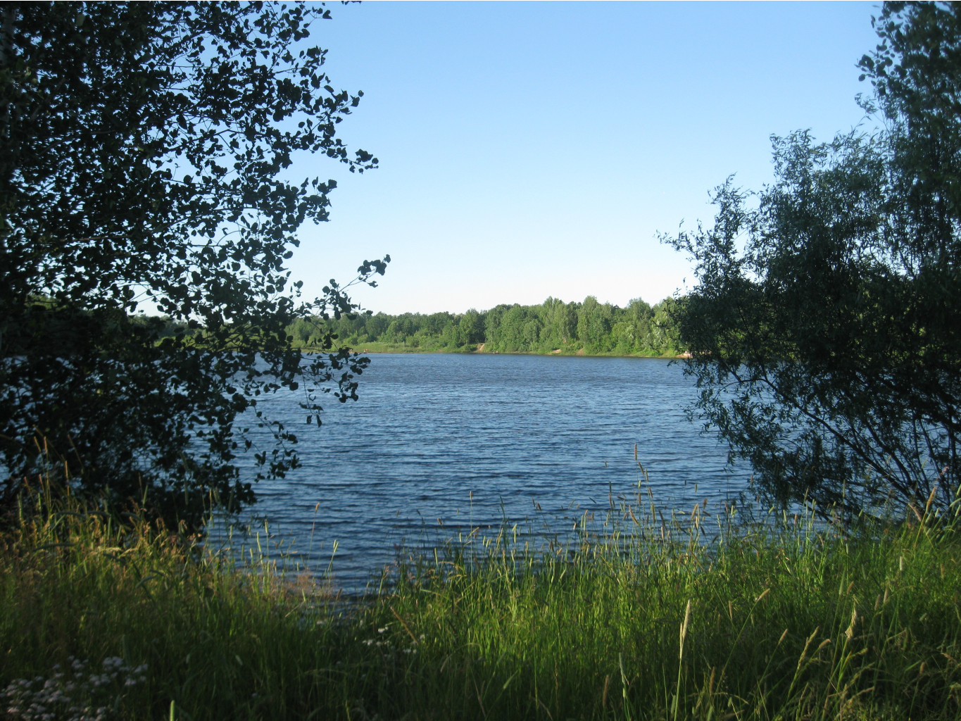 IMG 5485.JPG