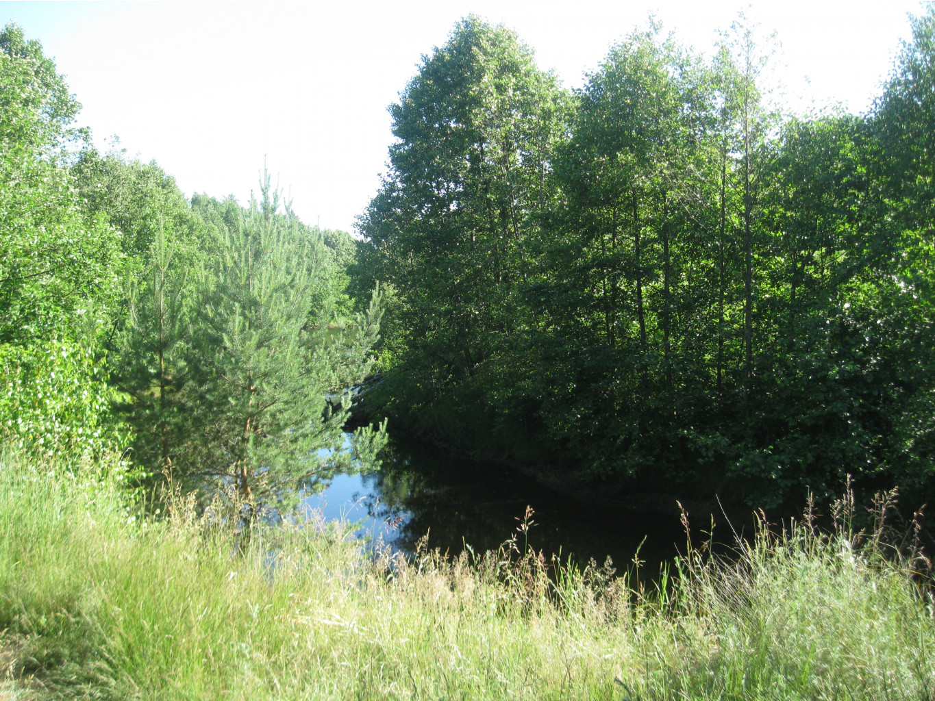 IMG 5440.JPG