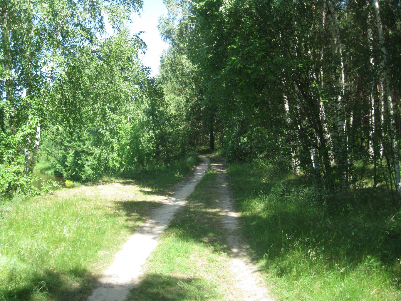 IMG 5402.JPG