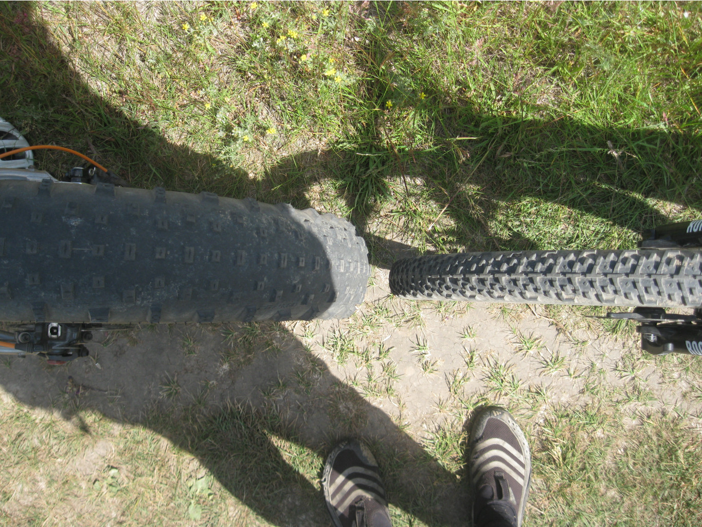 IMG 5386.JPG