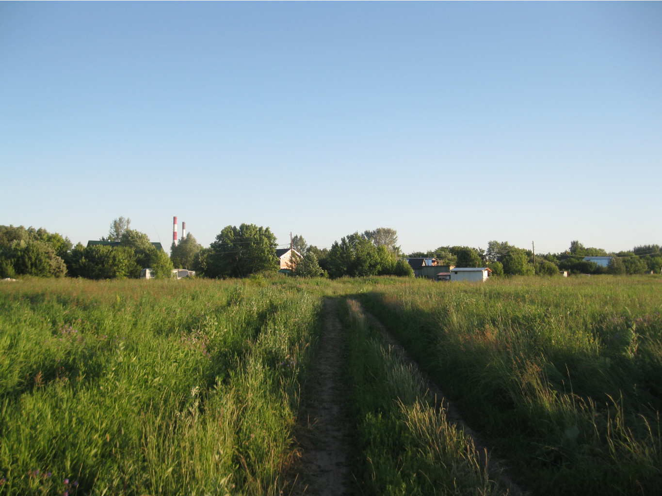 IMG 5508.JPG