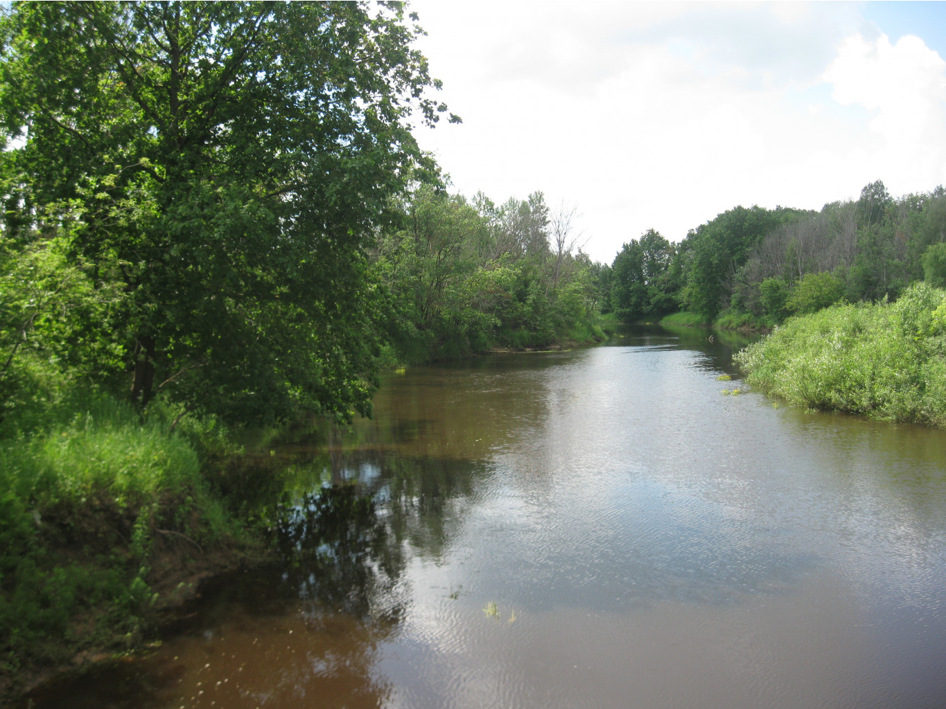 IMG 5327.JPG