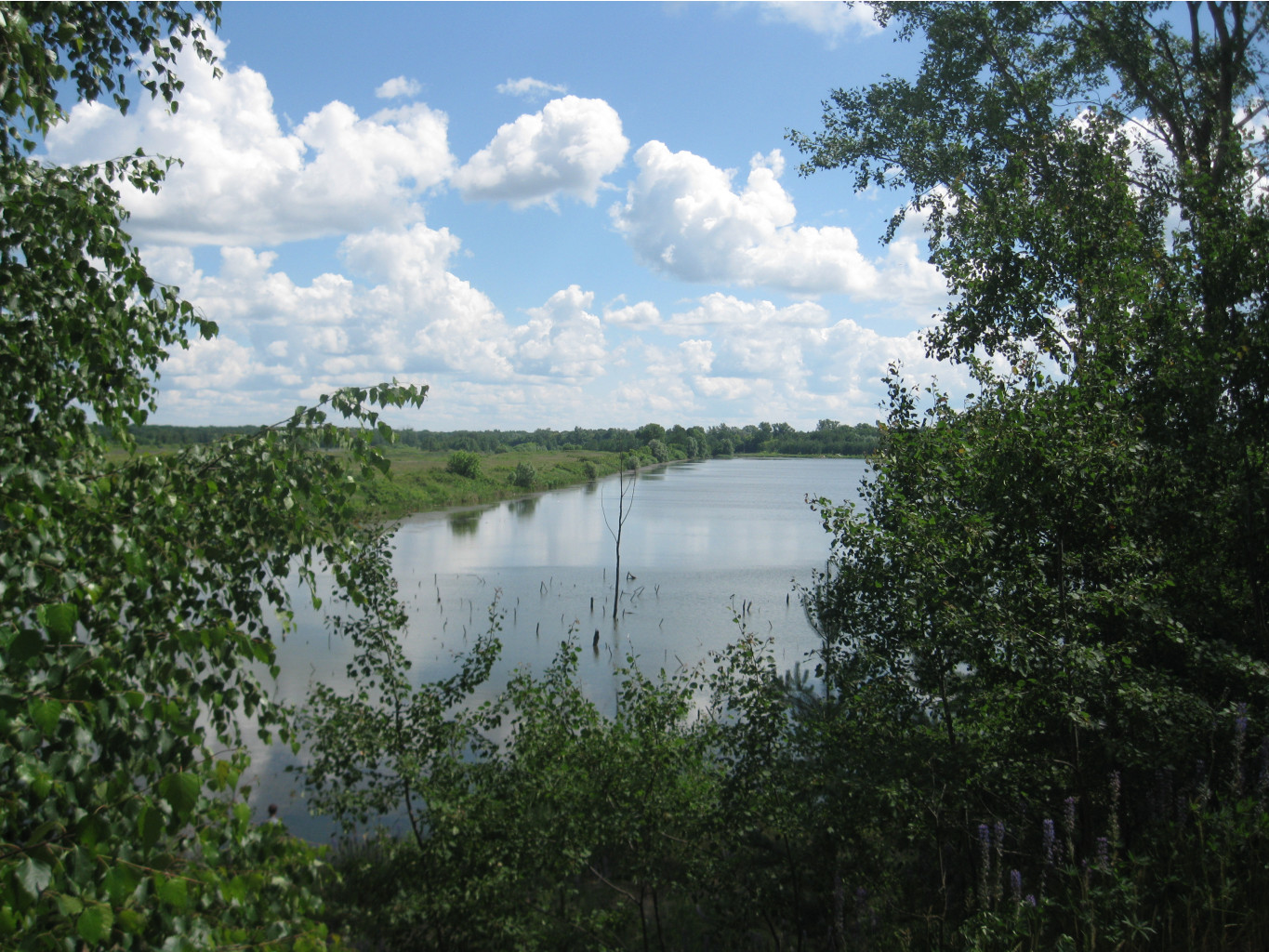 IMG 5299.JPG
