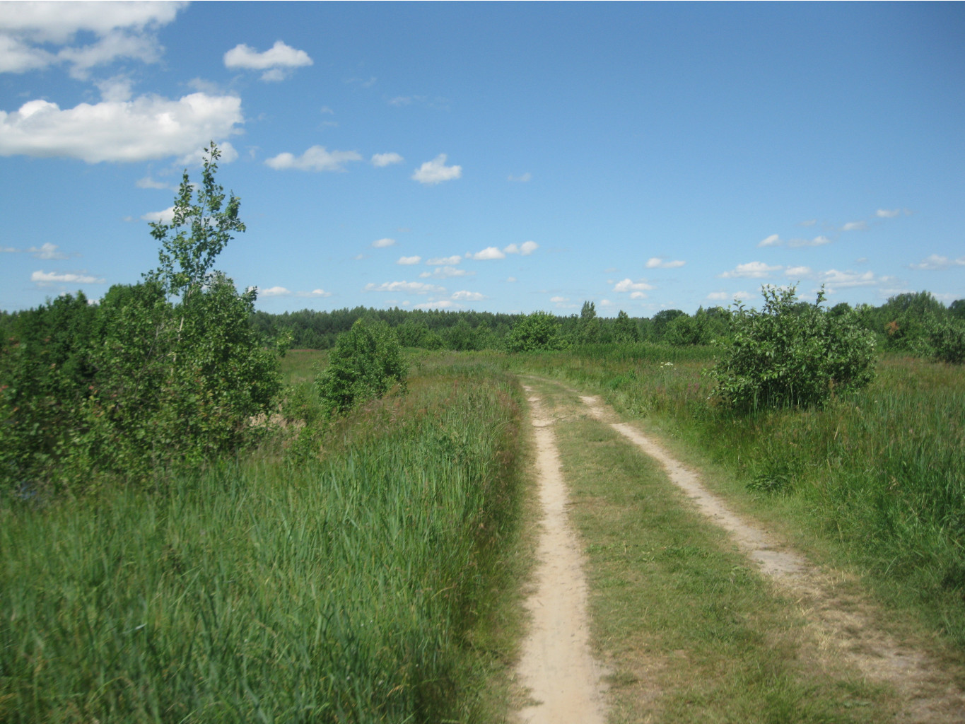 IMG 5374.JPG