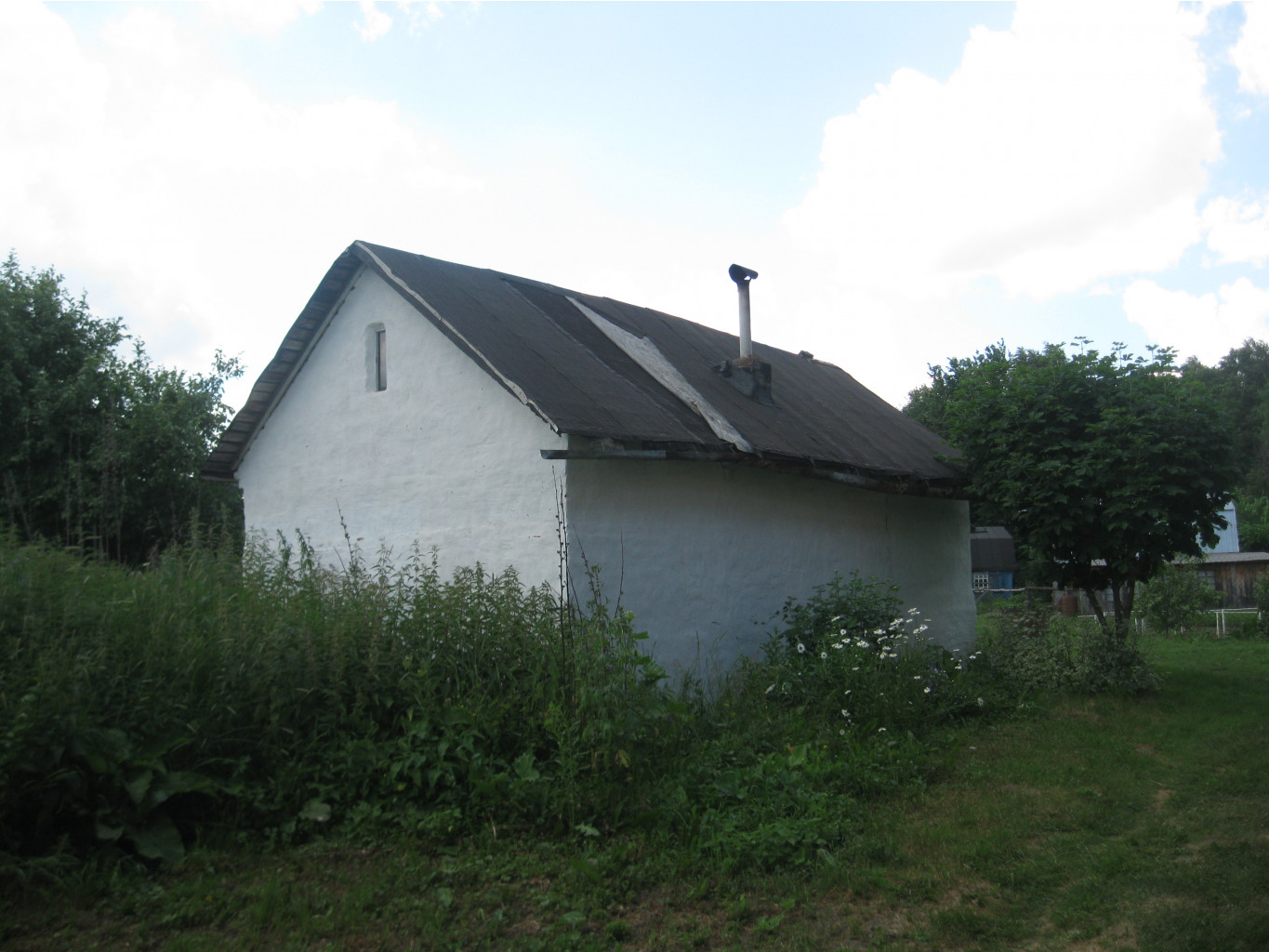 IMG 5350.JPG