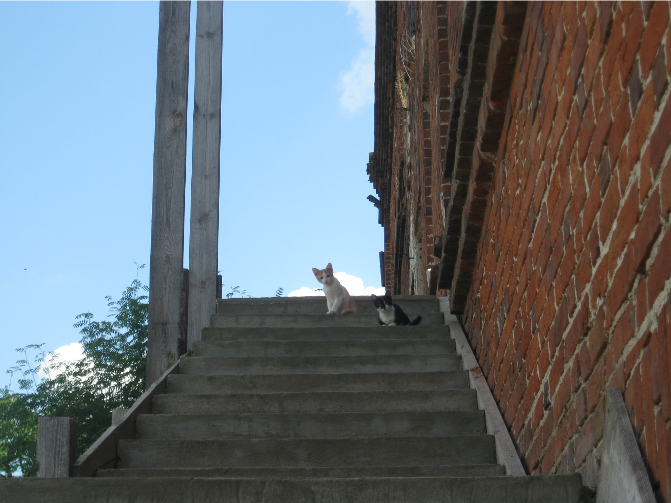 IMG 5359.JPG