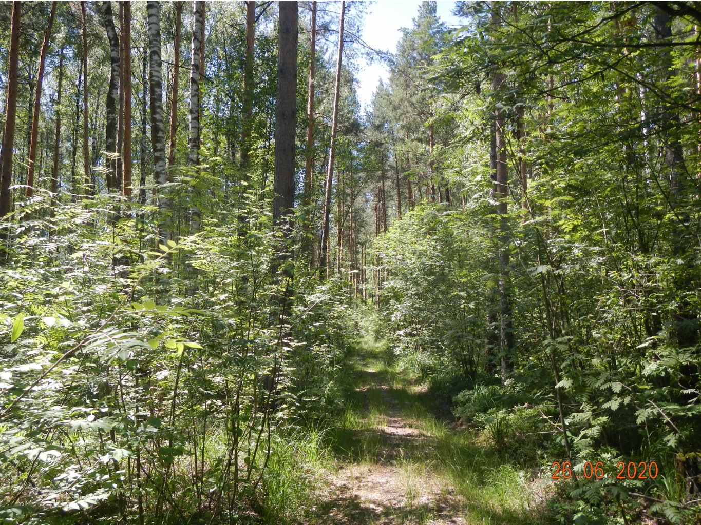 DSCN3983.JPG