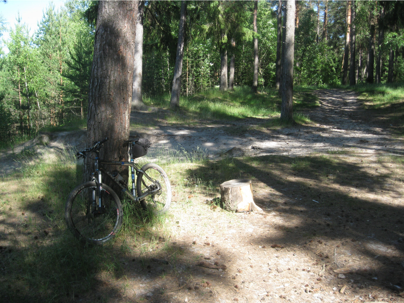 IMG 5427.JPG