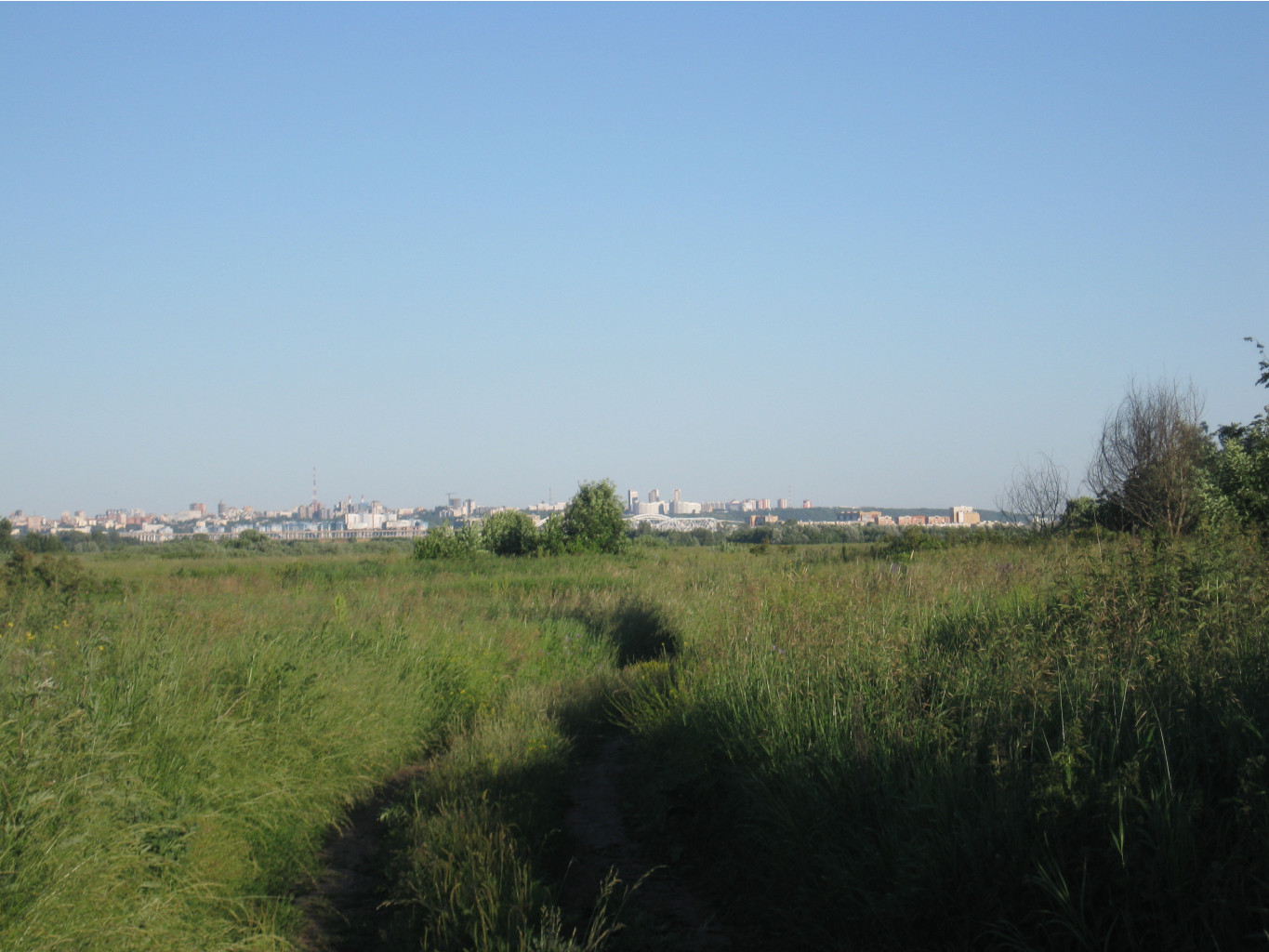 IMG 5499.JPG