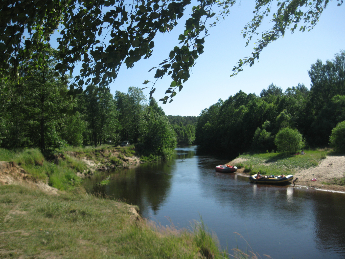 IMG 5435.JPG