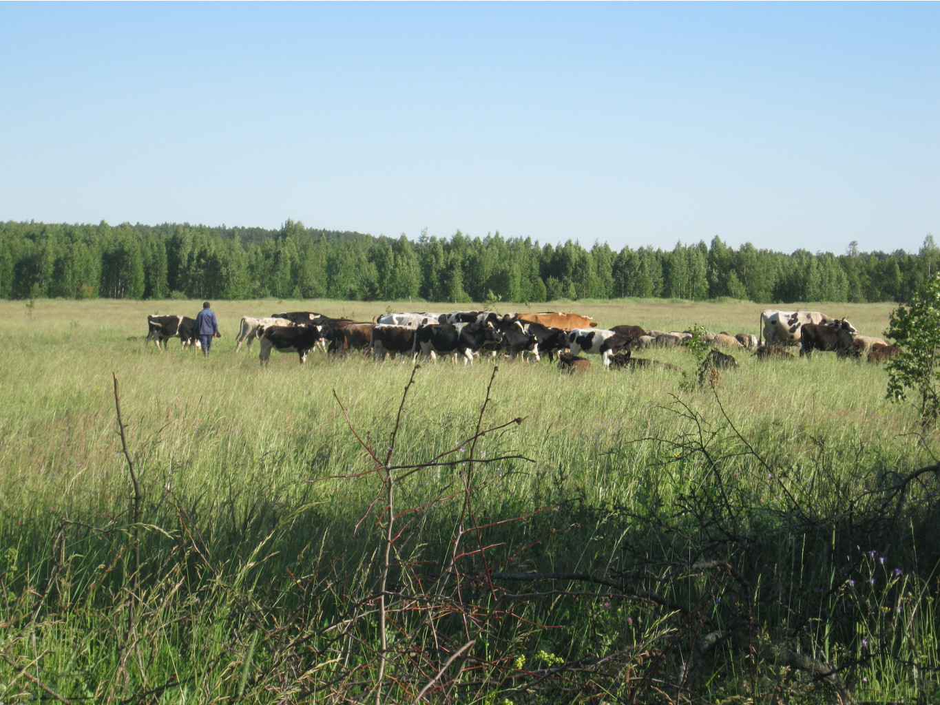 IMG 5458.JPG