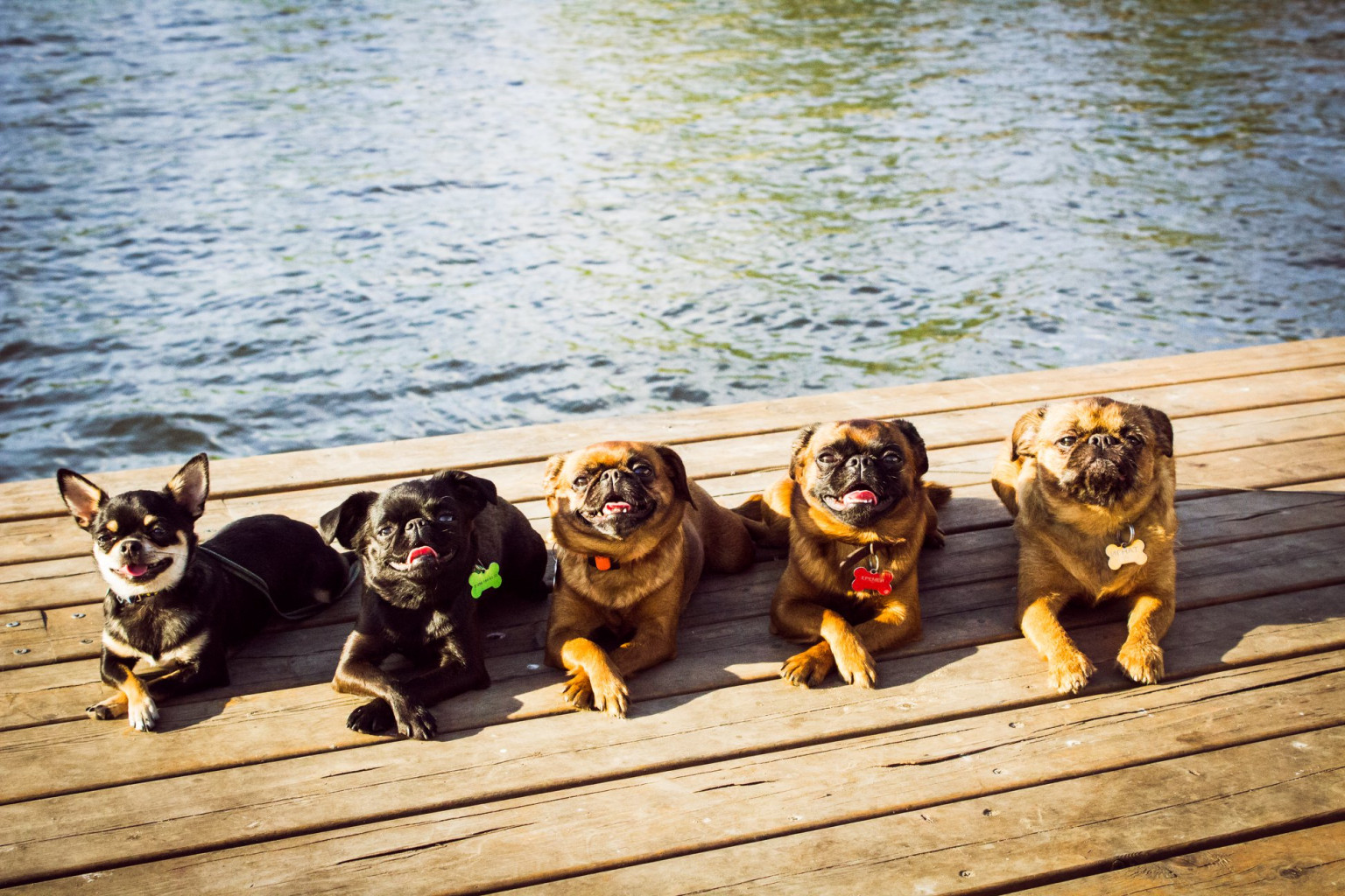 59857086 2351048531843612 276742429556604928 o.jpg