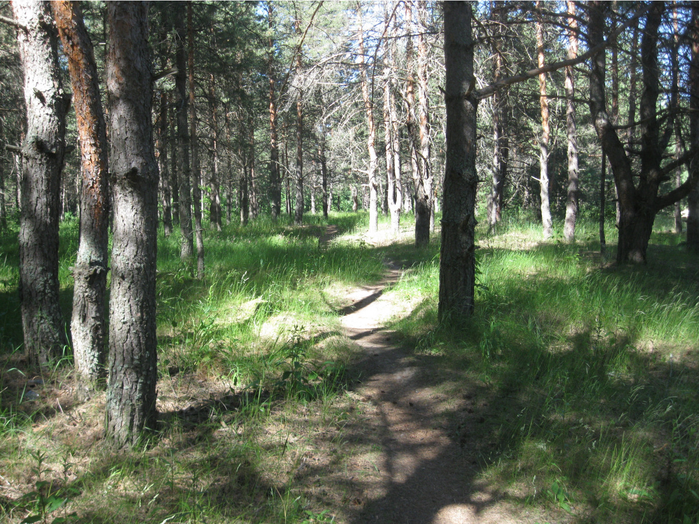 IMG 5414.JPG