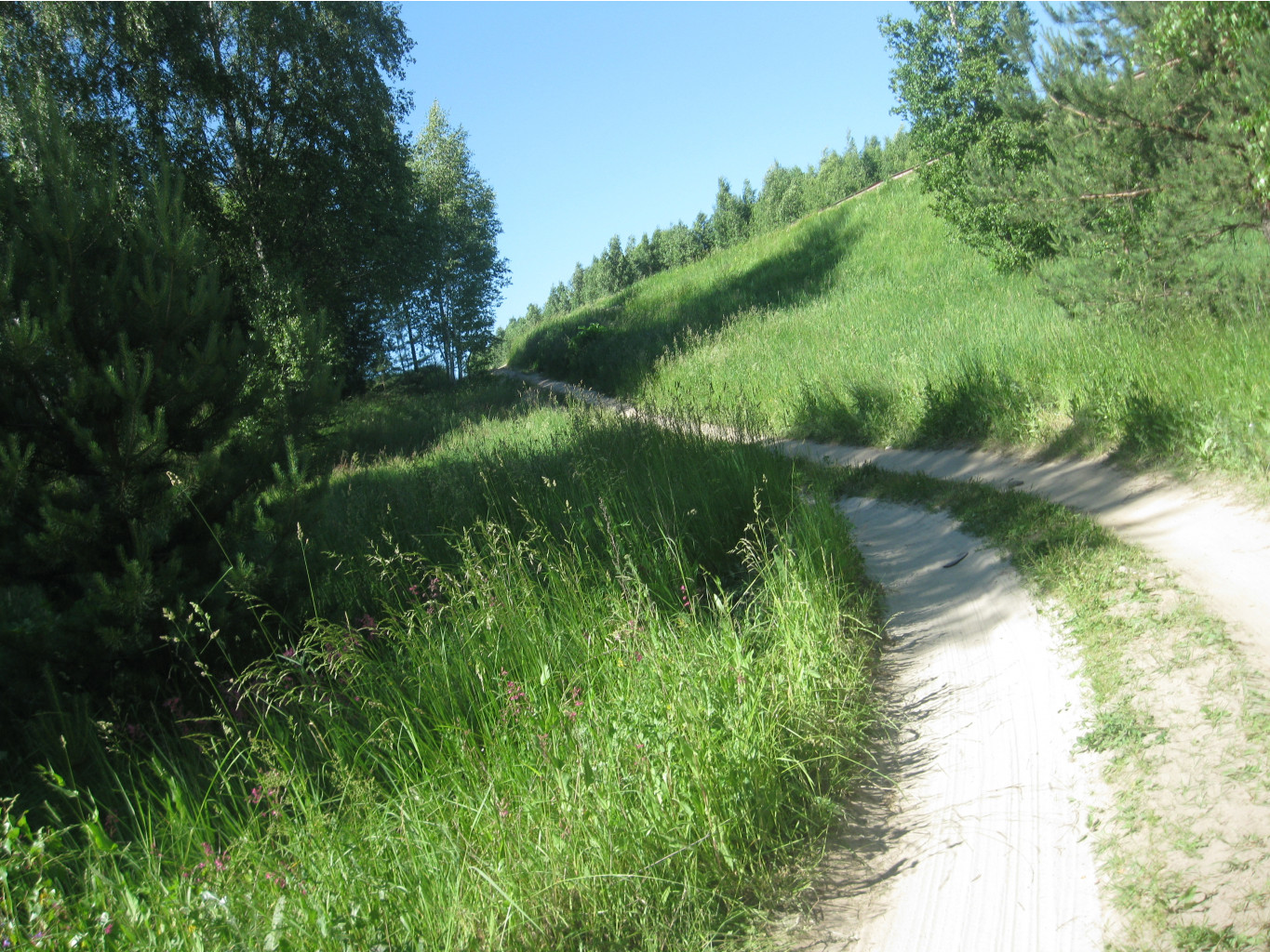 IMG 5418.JPG