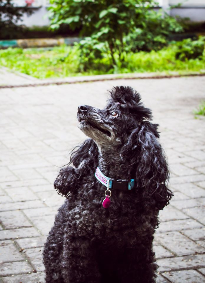 66753058 2394891044126027 2338169939560497152 o.jpg