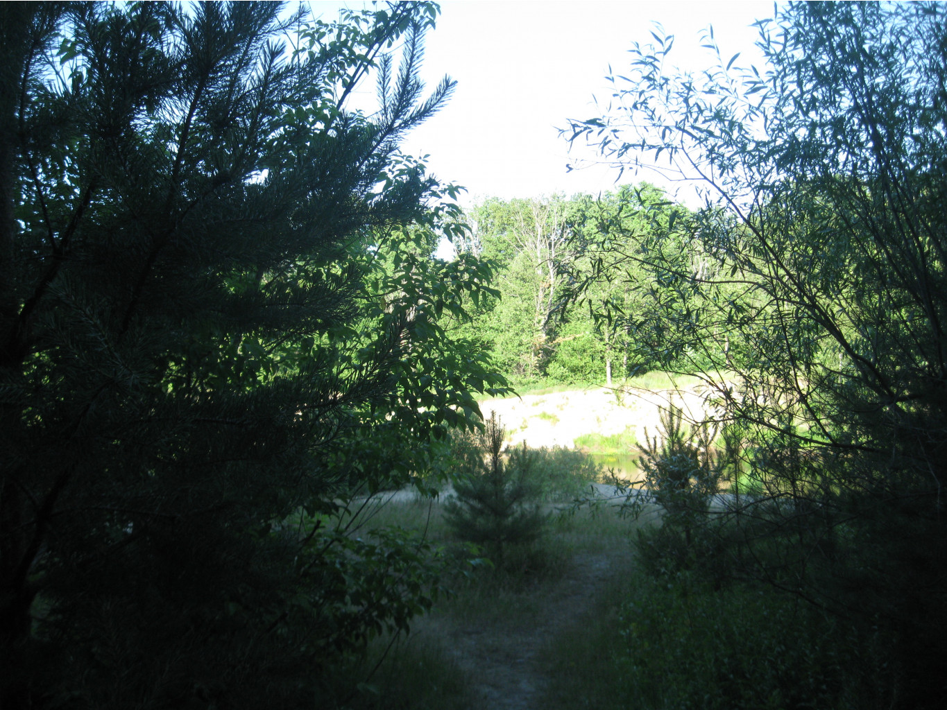 IMG 5478.JPG
