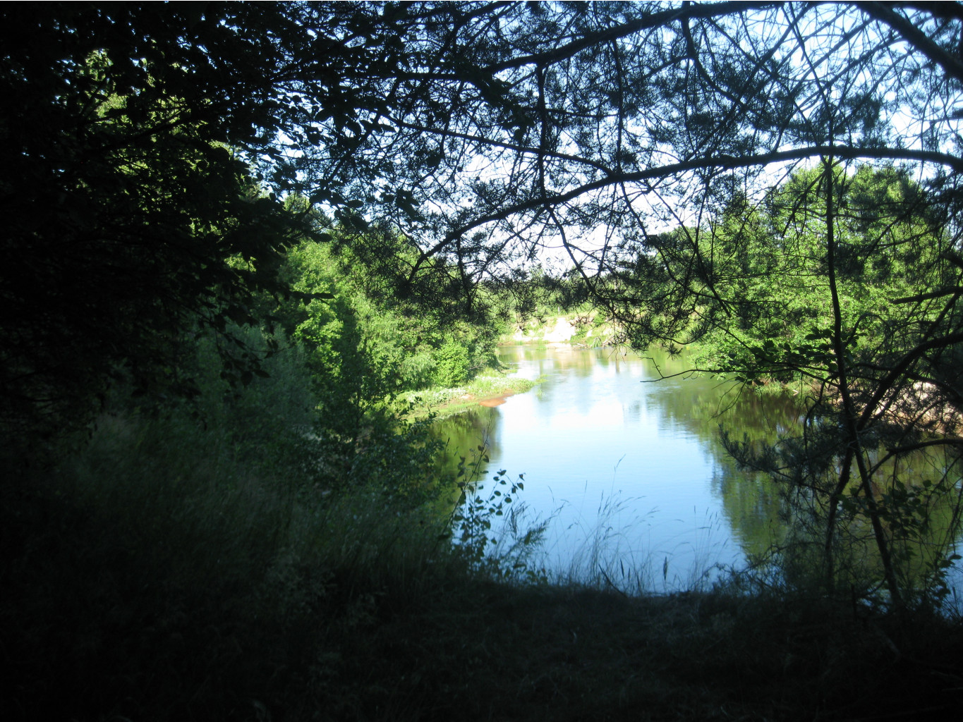 IMG 5473.JPG