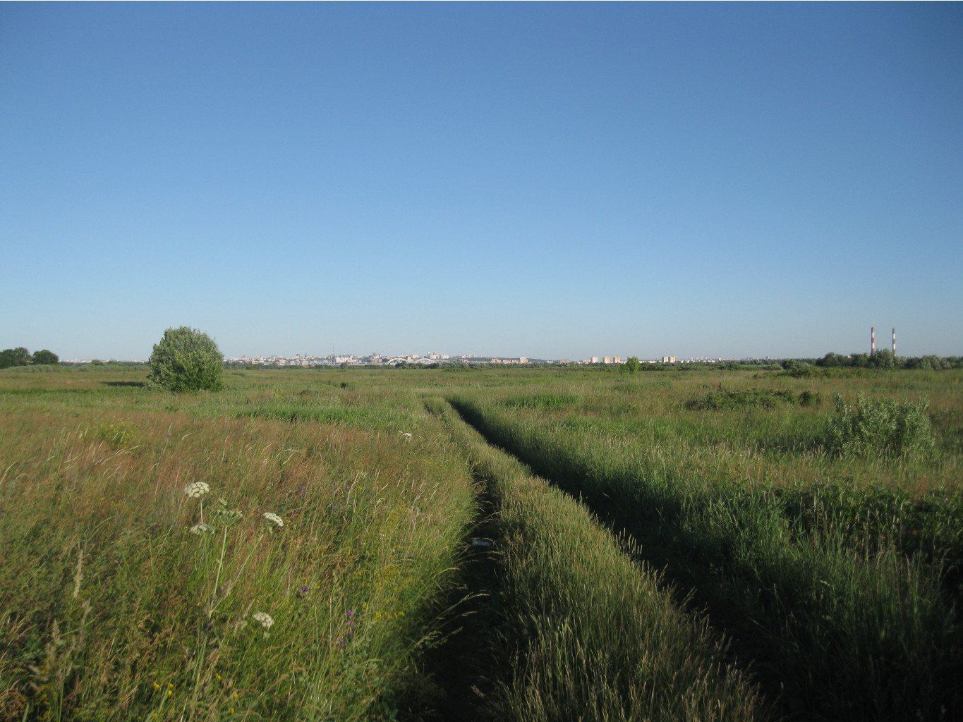 IMG 5501.JPG