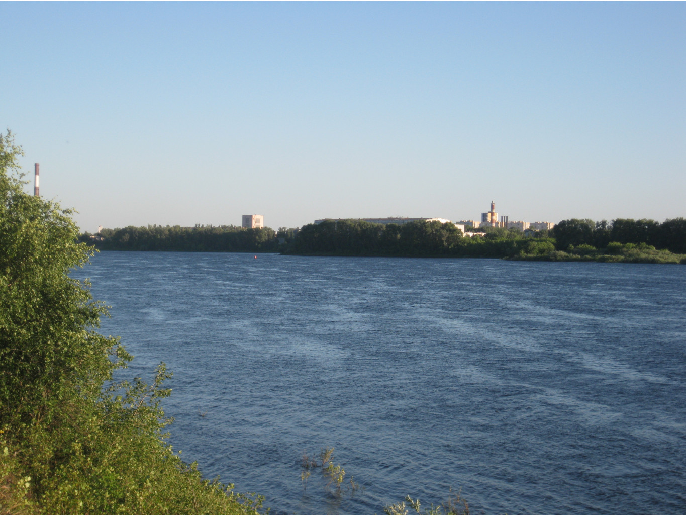 IMG 5504.JPG