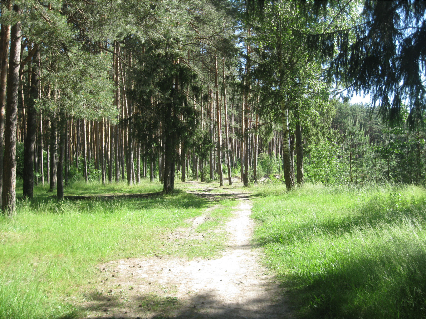IMG 5429.JPG