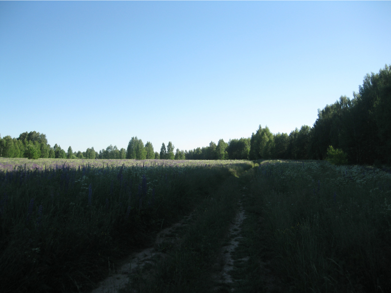 IMG 5461.JPG