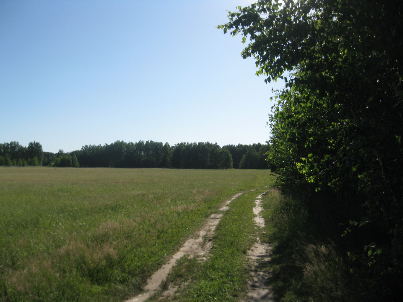 IMG 5460.JPG