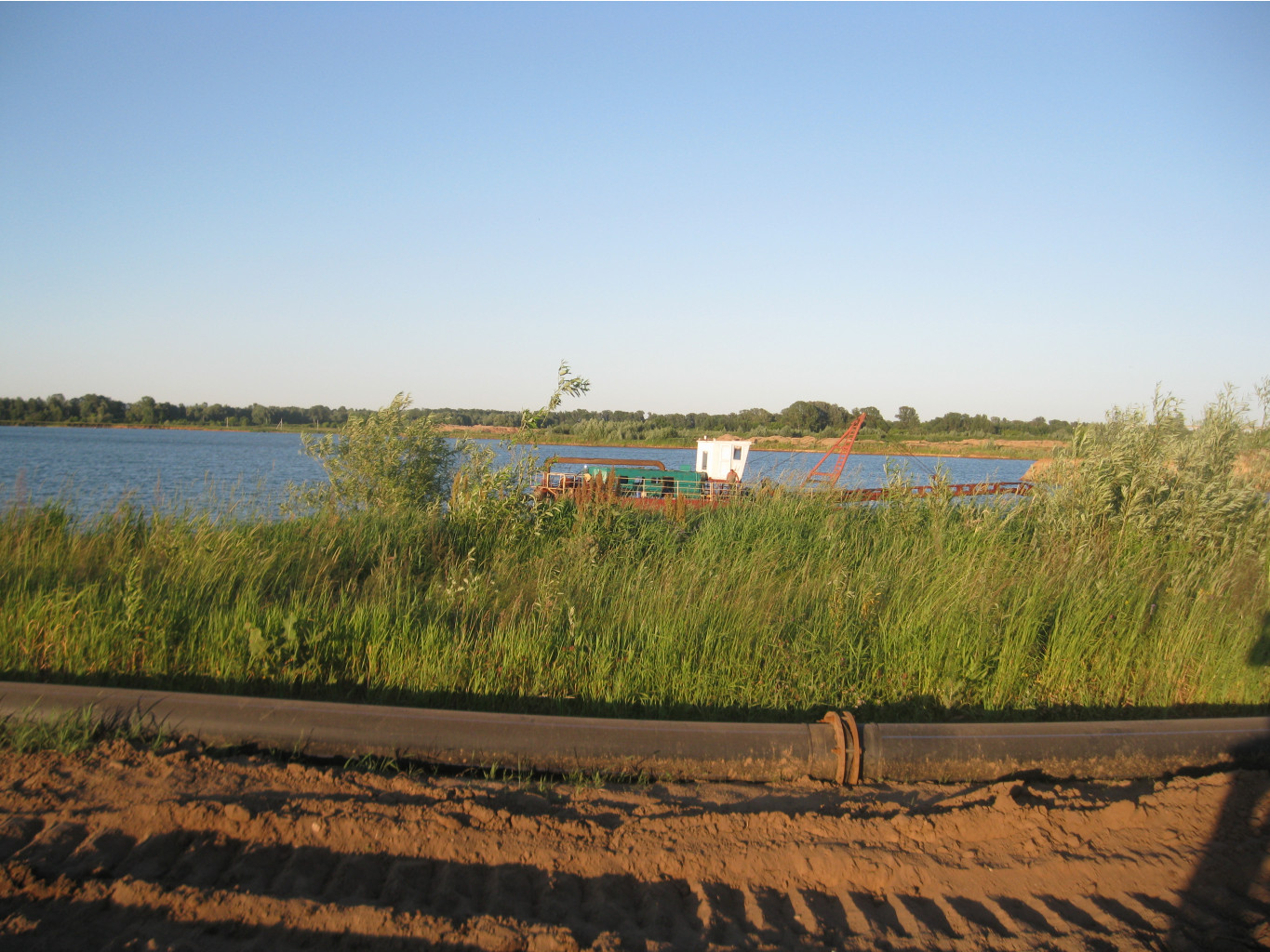 IMG 5511.JPG