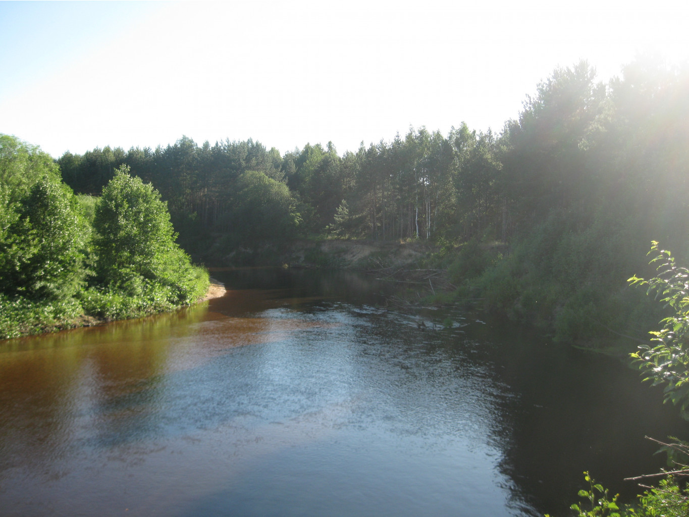 IMG 5469.JPG