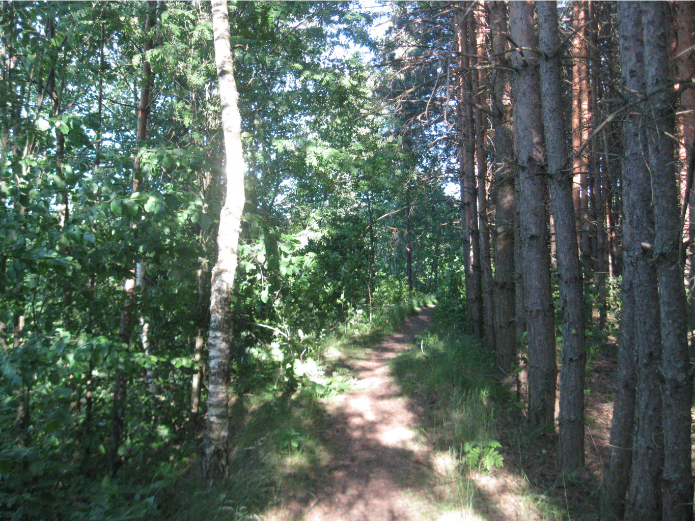IMG 5477.JPG