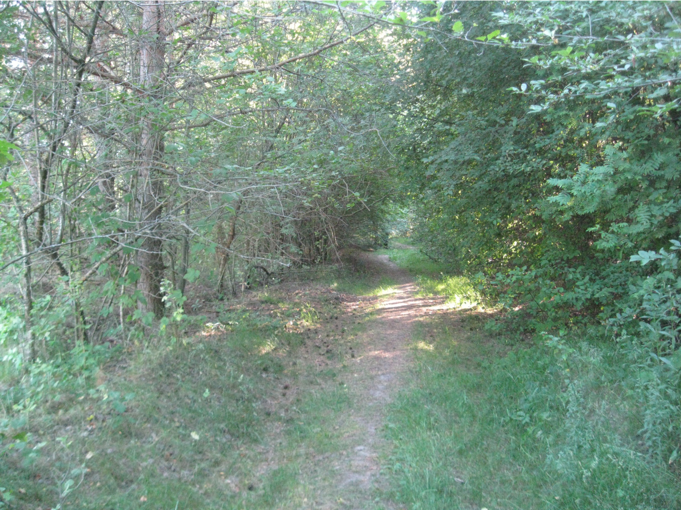 IMG 5472.JPG