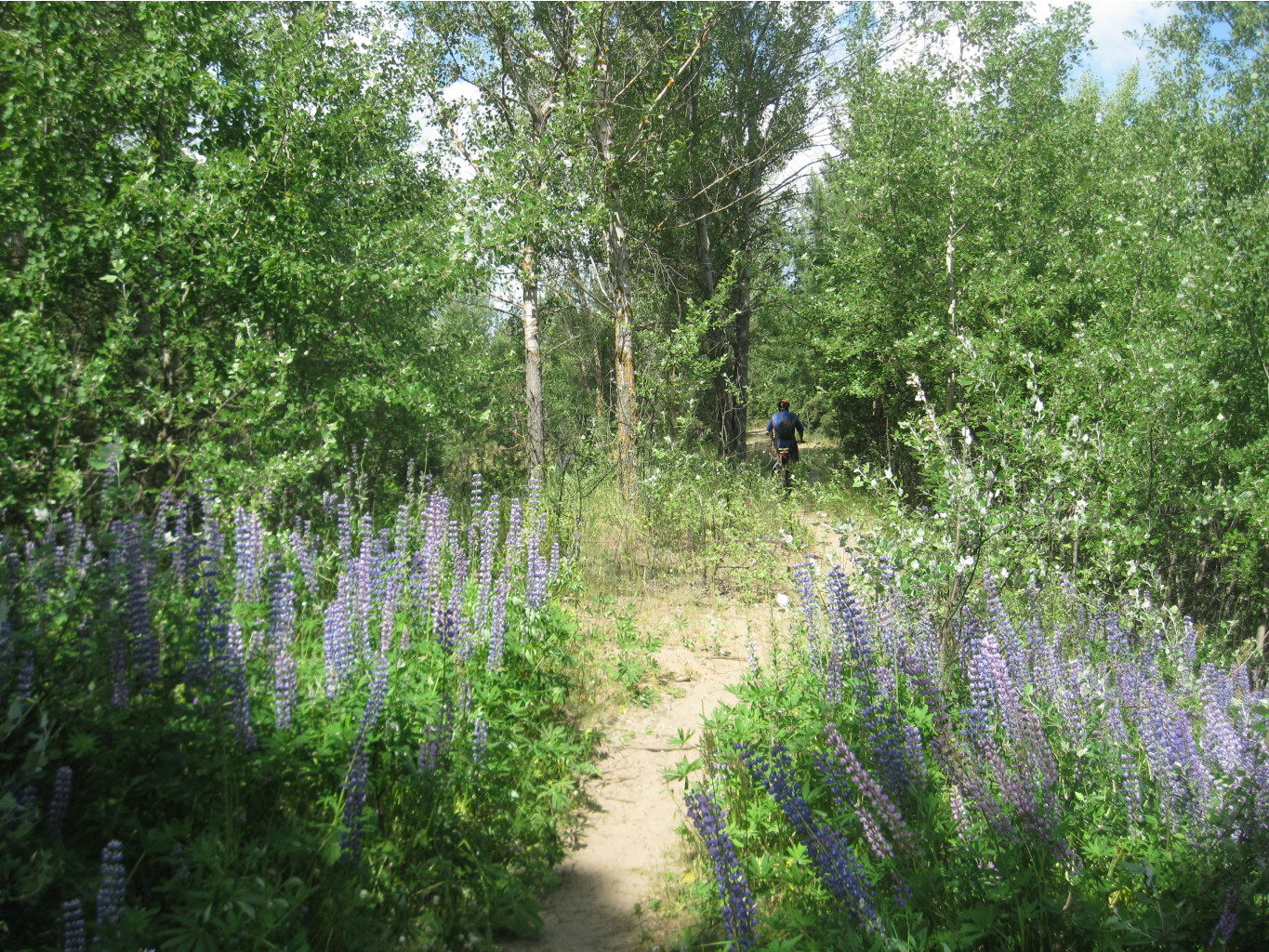 IMG 5298.JPG