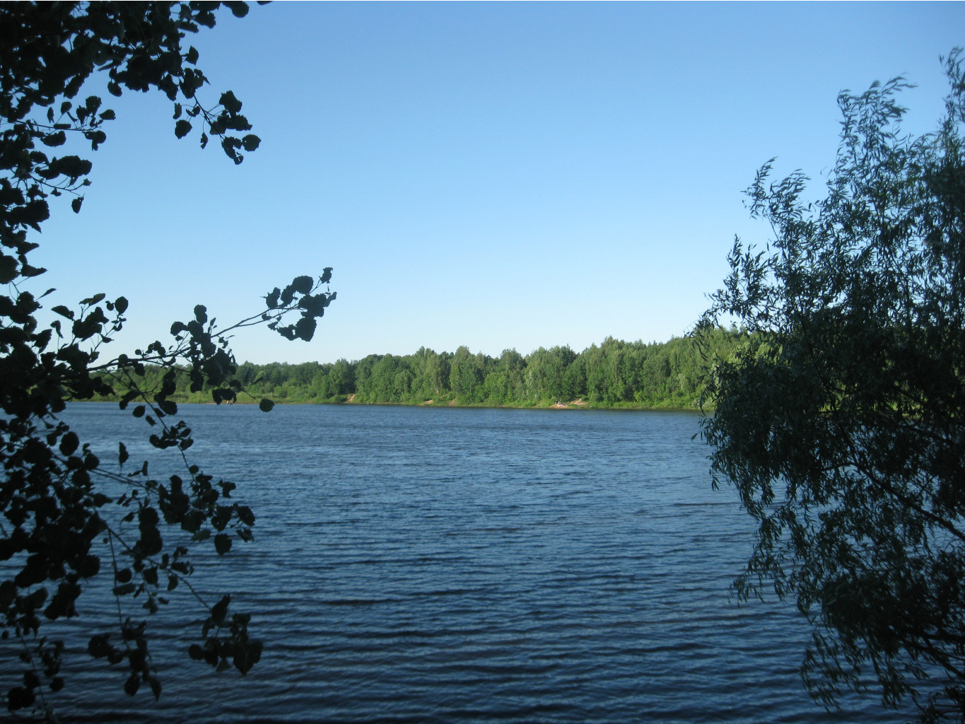 IMG 5486.JPG