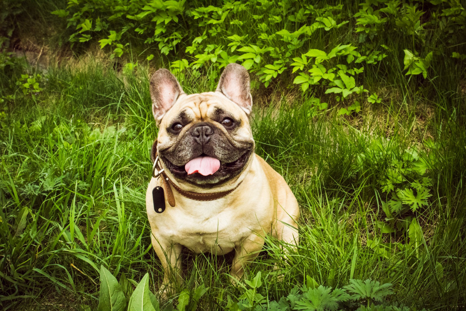 60623379 2353196218295510 2649270771750273024 o.jpg