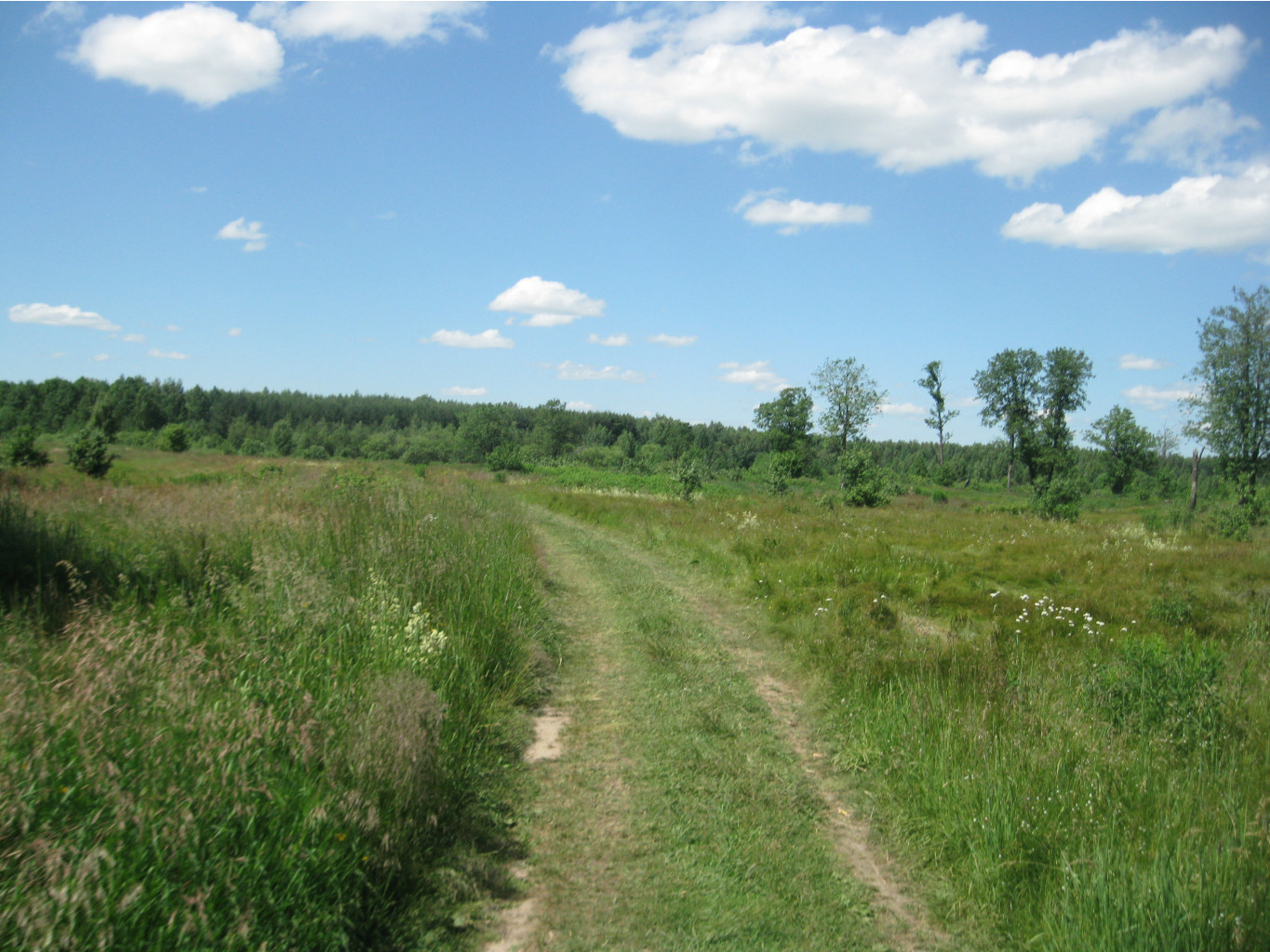 IMG 5373.JPG