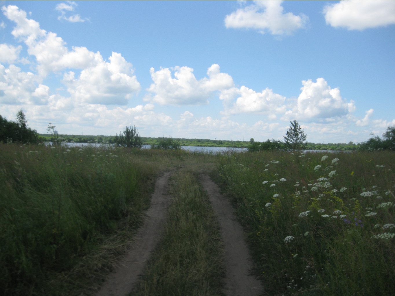IMG 5310.JPG