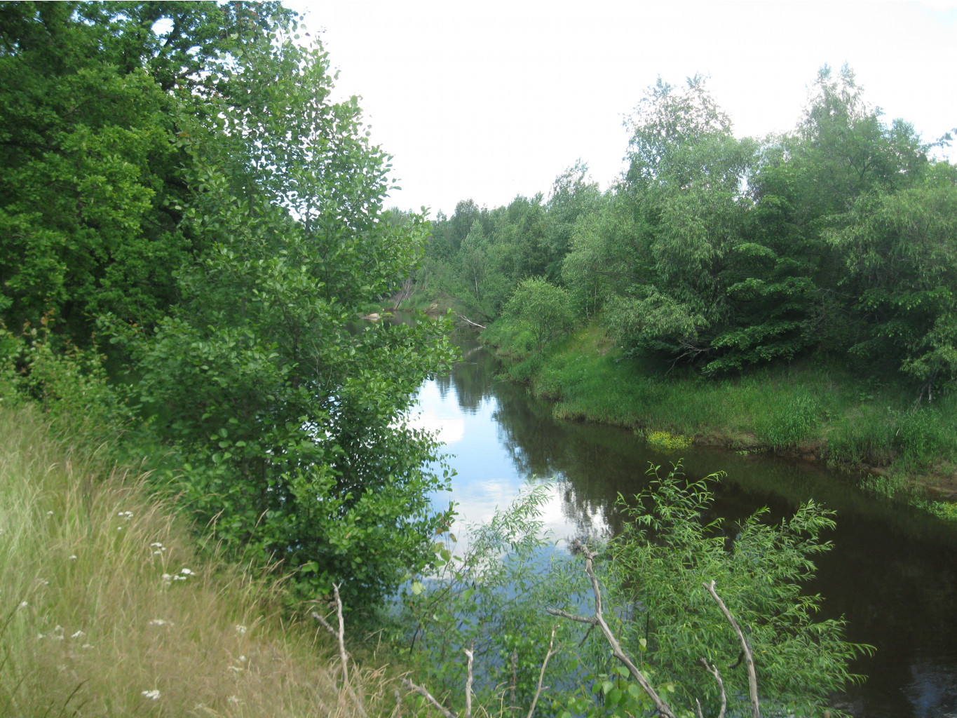 IMG 5370.JPG