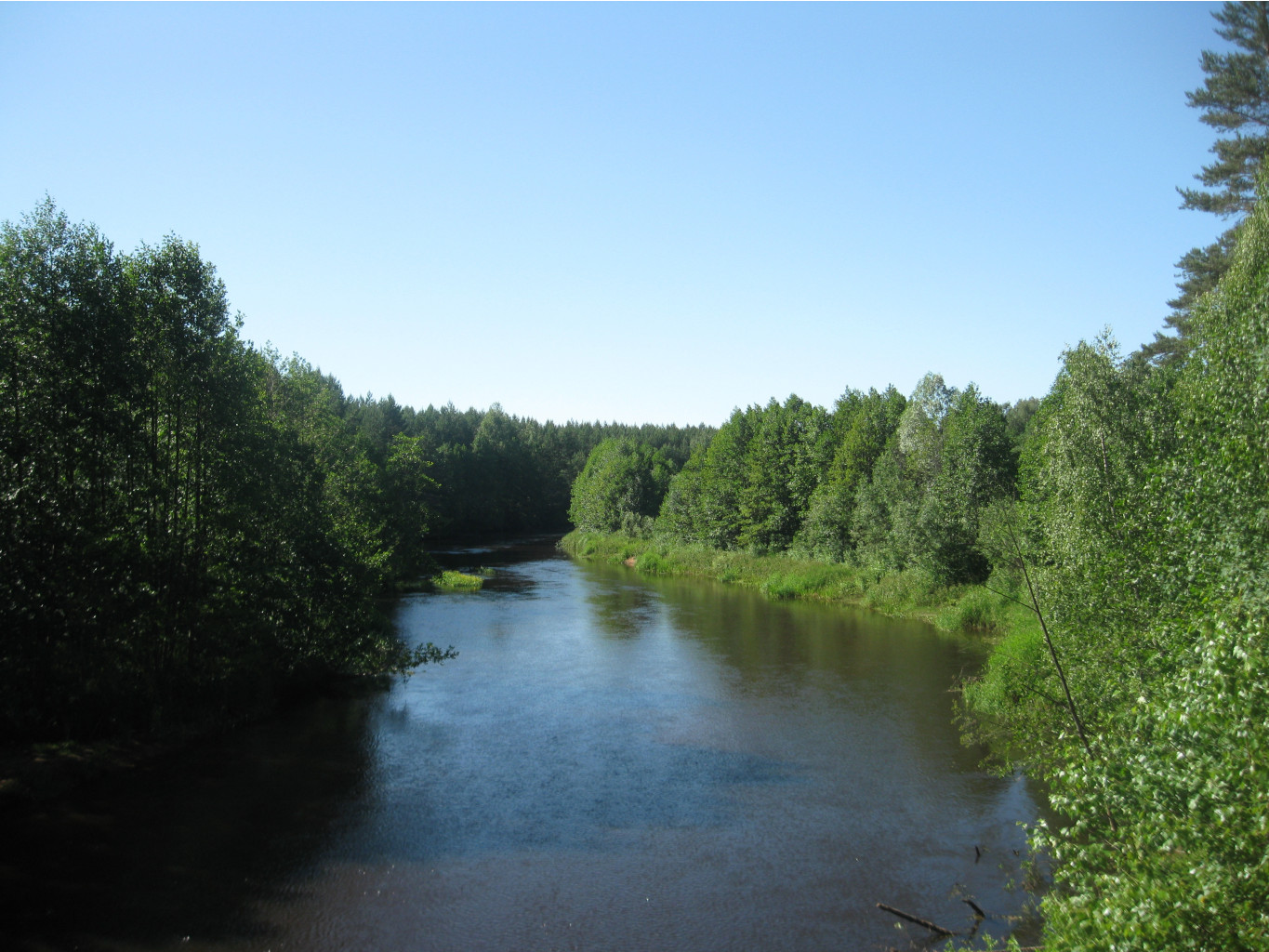 IMG 5430.JPG