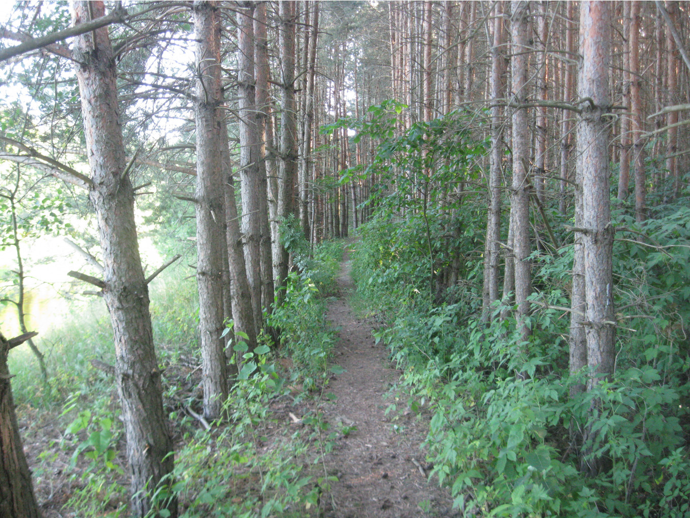 IMG 5480.JPG