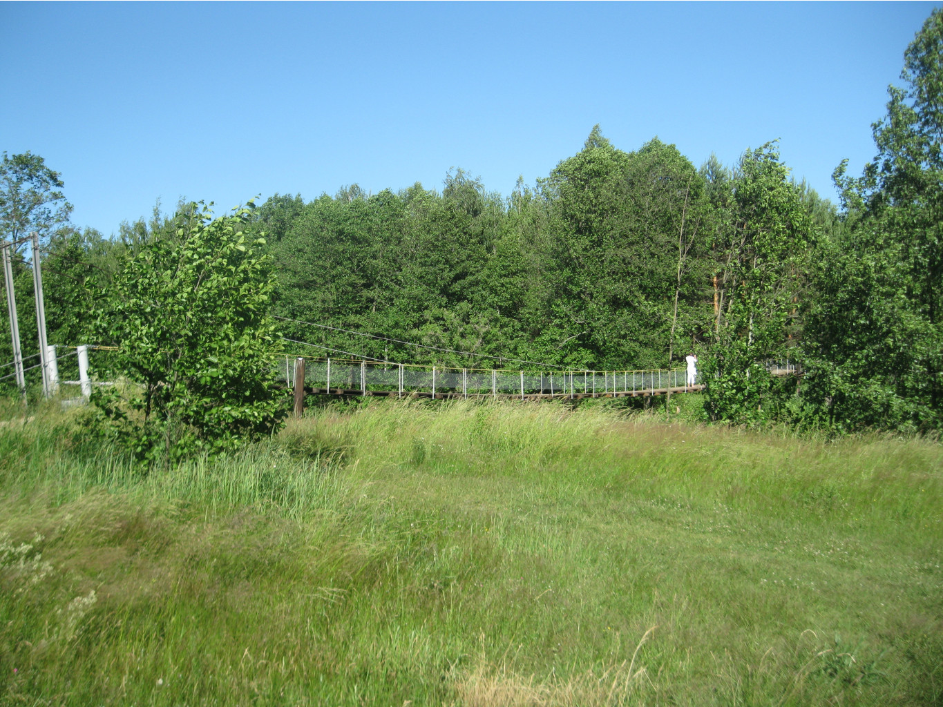 IMG 5448.JPG