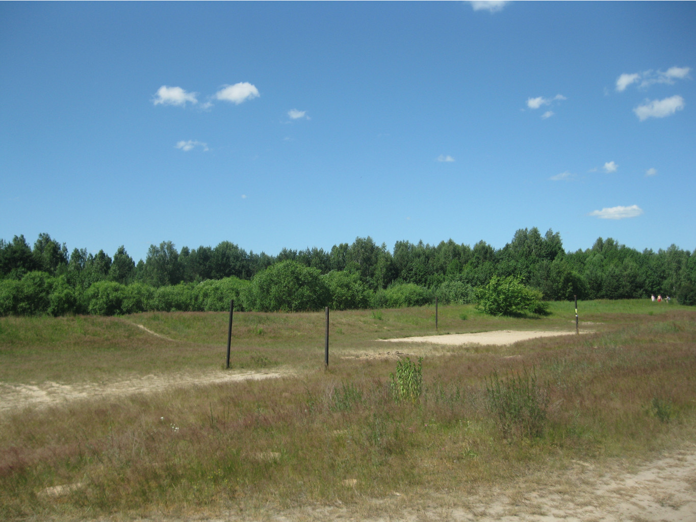 IMG 5407.JPG