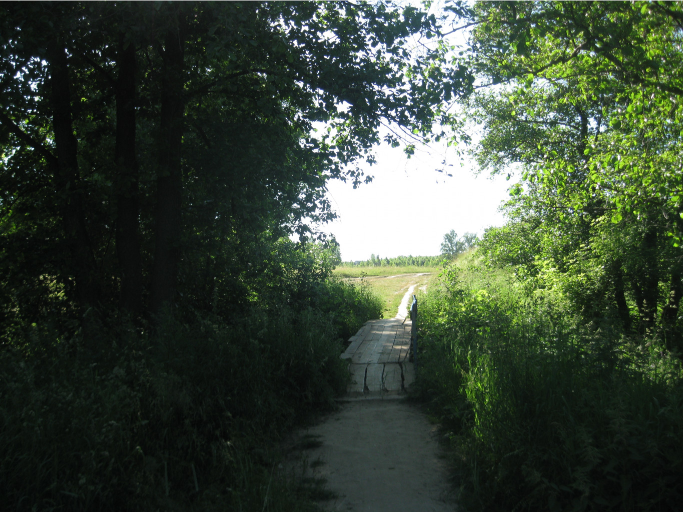 IMG 5450.JPG