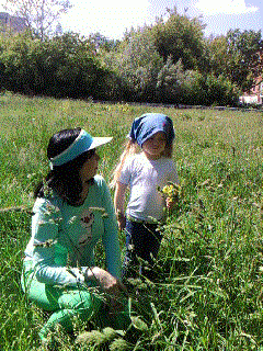 SP A1230.gif