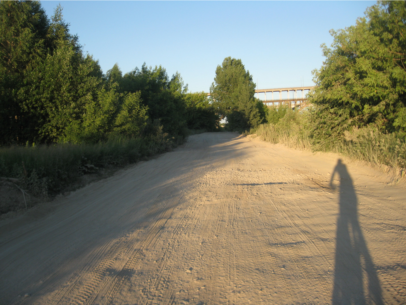 IMG 5517.JPG