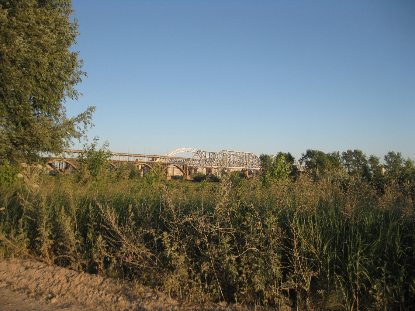 IMG 5515.JPG