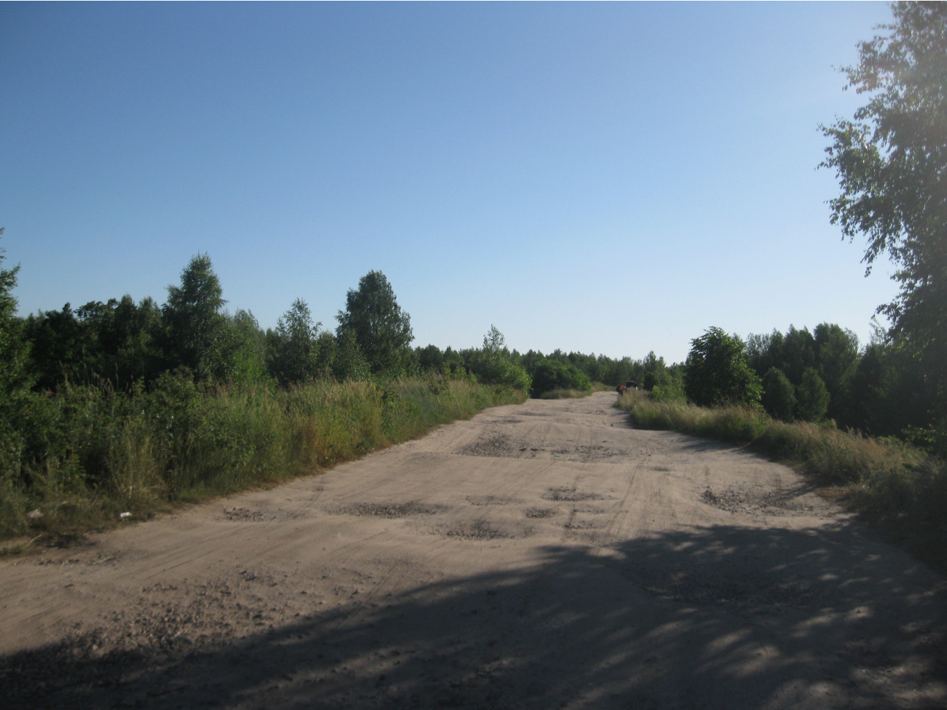 IMG 5482.JPG