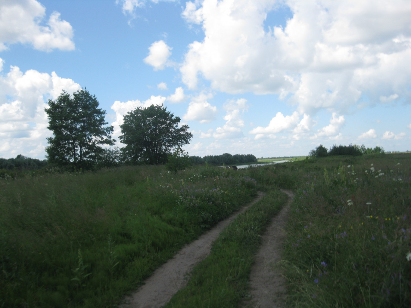 IMG 5305.JPG