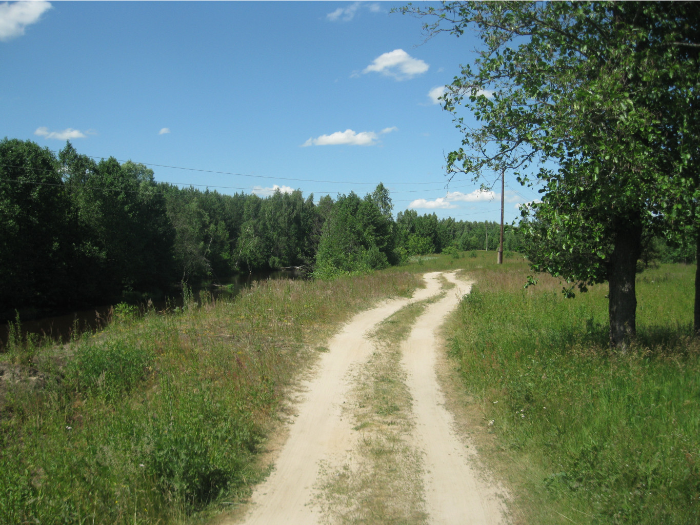 IMG 5392.JPG