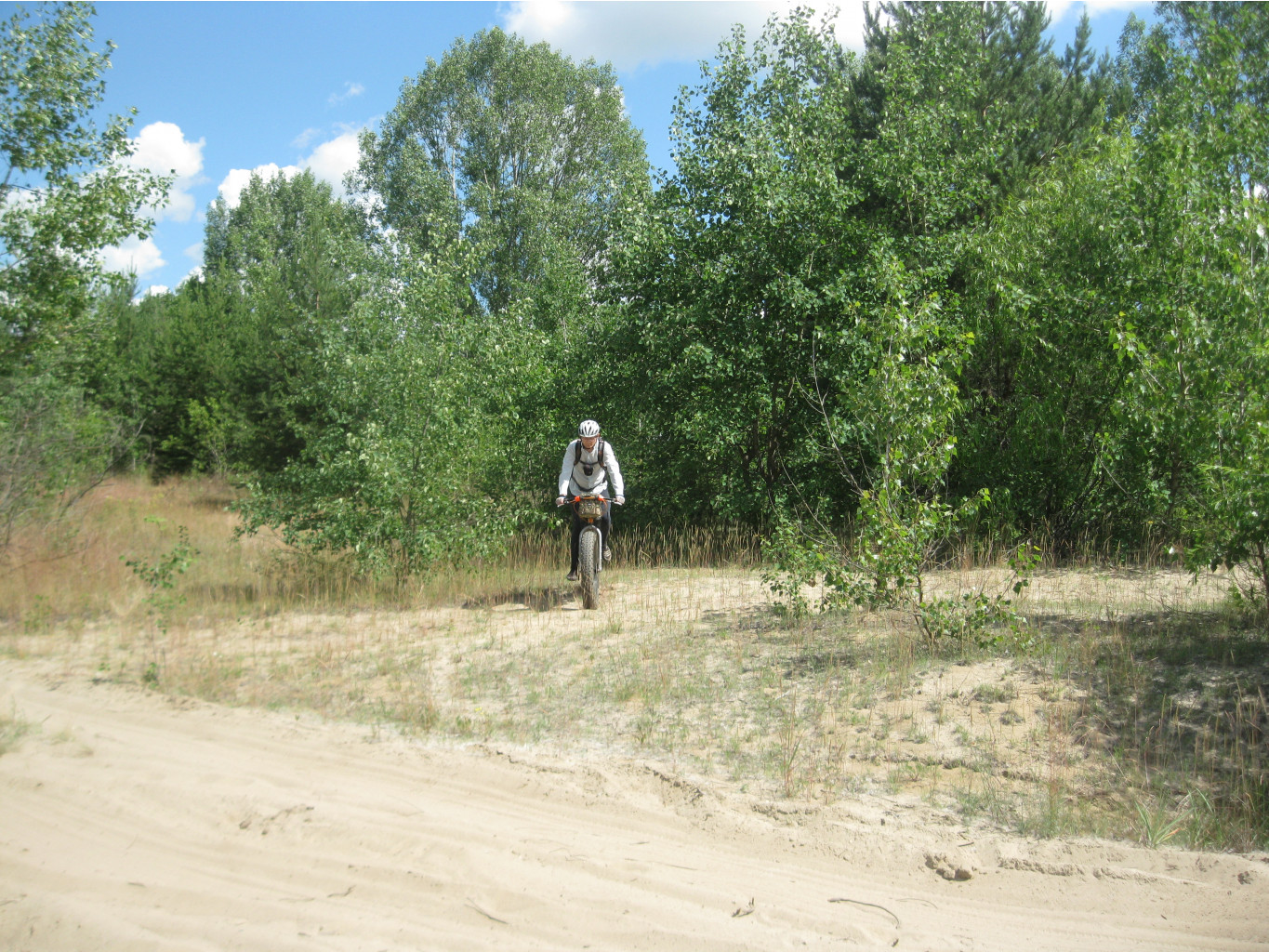 IMG 5302.JPG