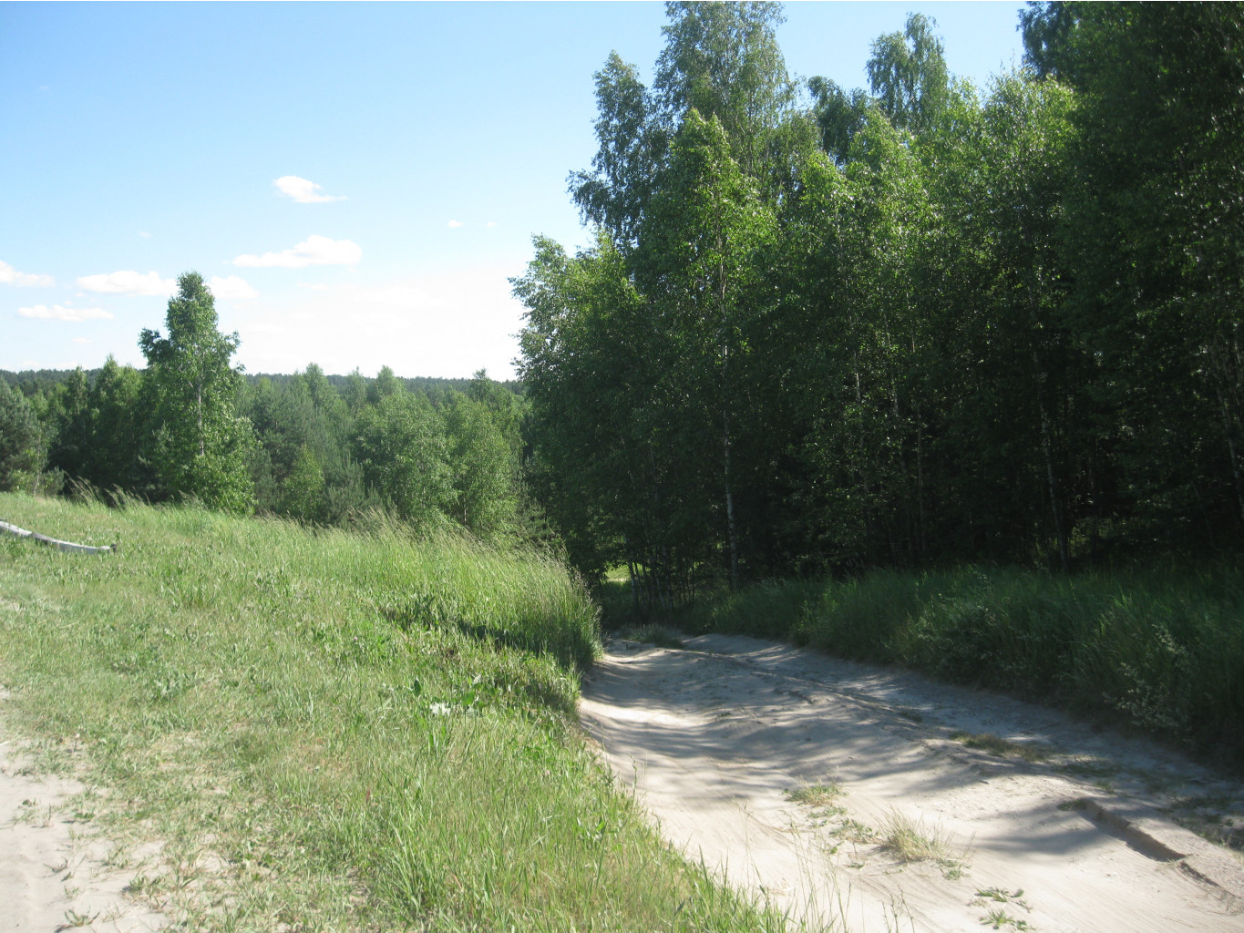 IMG 5421.JPG